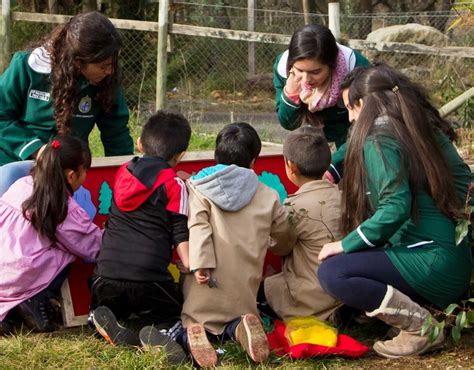 America Latina Y El Caribe Uniservitate