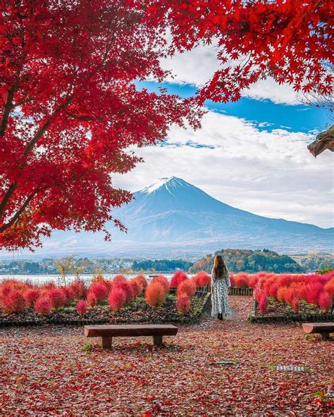 Japan on Instagram on Instagram: “Beautiful view of Mt. Fuji under the ...