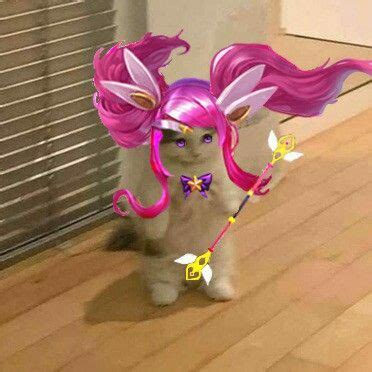 League of Legends Star Guardian Lux Cat Anime kedi Görsel sanatlar Kedi