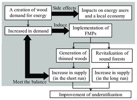 Schematic Figure Of Wood Energy Forest Maintenance Practices Fmps