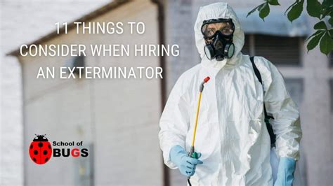 11 Things To Consider When Hiring An Exterminator School Of Bugs