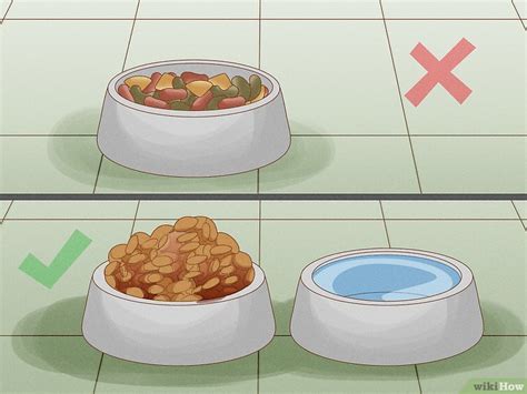 The Art Of Poop: A Guide To Creating Realistic Dog Waste