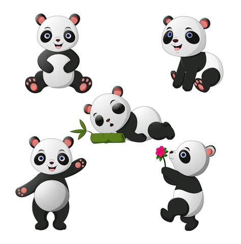 Collection De Pandas B B Mignon Vecteur Premium