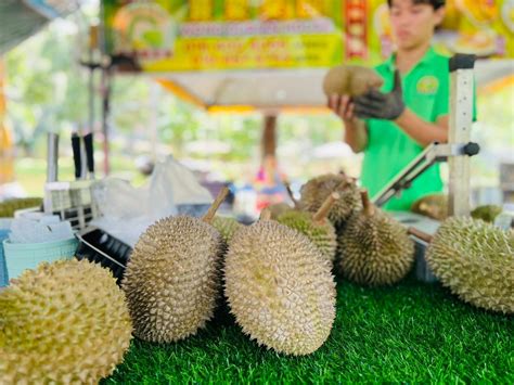 Musim Durian Jadi Tarikan Di Balik Pulau Malaysiaaktif