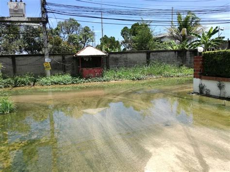 Sewage Quagmire On Siam Country Club Pattaya Mail