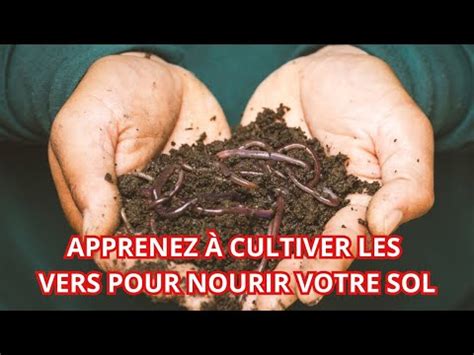 Nutilisez Plus Dengrais Chimiques Mais Plut T Des Vers De Terre