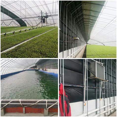 Double Beam Solar Greenhouseshouguang Zenong Greenhouse Engineering Co Ltd