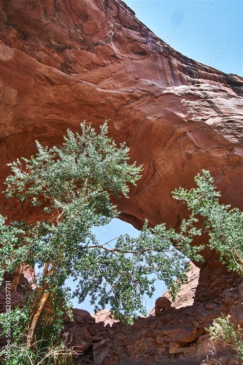 Jacob Hamblin Natural Arch In Coyote Gulch Escalante And Glen Canyon