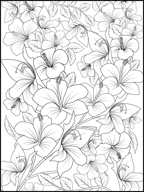 Belle Illustration De Motif Floral Botanique Pour Livre Ou Page De Coloriage Art De Croquis De