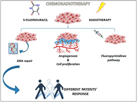 IJMS Free Full Text Pharmacogenetics Biomarkers And Their Specific