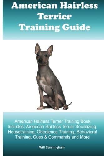 10 Best American Hairless Terrier Essentials, Accessories, And Toys