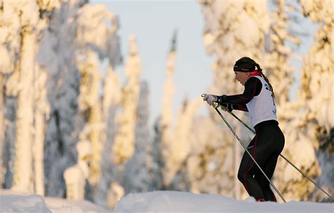 Picture Gallery Sport Event Gellivare Lapland