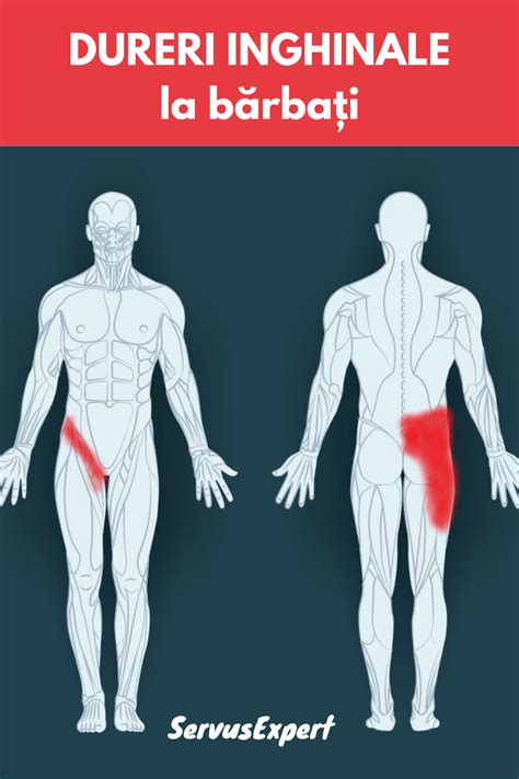 Dureri Inghinale La B Rba I Cauze Posibile Testi
