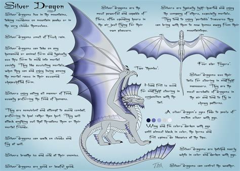 Silver Dragon Reference Sheet — Weasyl