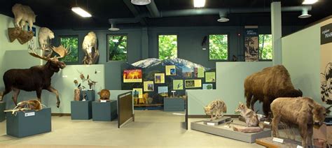 Montana Natural History Center - Lewis and Clark Trail Experience