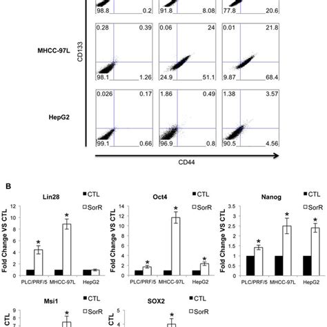 Enriched Cscs Subpopulation In Sorr Cells A Harvested Ctl And Sorr Download Scientific