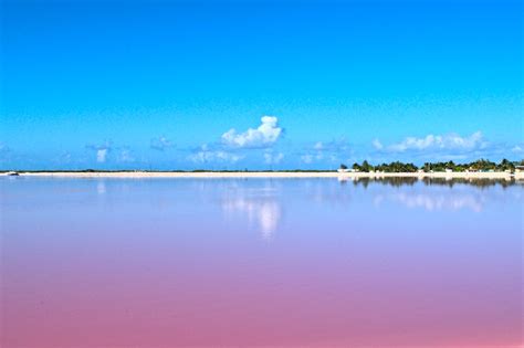 How To Visit The Pink Lakes Of Las Coloradas Mexico