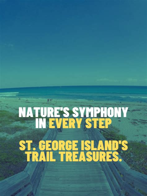 Step Into Nature S Gallery St George Island S Hiking Trails Florida