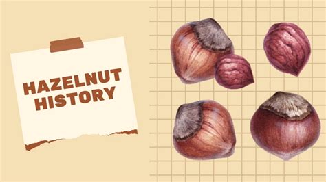 The History Of Hazelnuts Nut Geeks