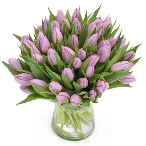 Bouquet Of Lavender Tulips