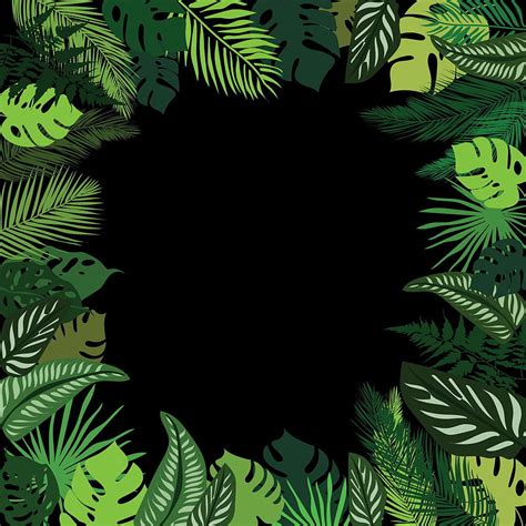 Tropical Leaves Summer Frame Tropical Palm Leaves Backgrounds