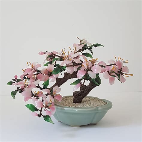 bonsai tree blossom 11