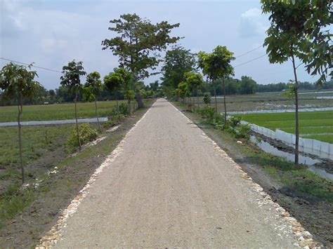 budak tanjung enim jalan makadam