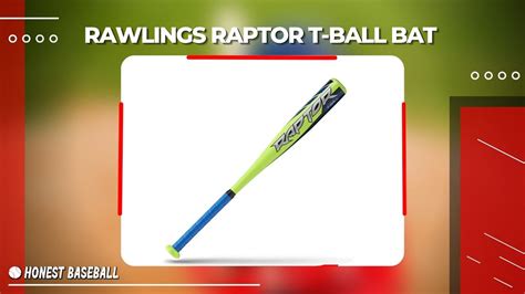 8 Best Youth Baseball Bats to Let Your Kids Step Up on the Plate ...