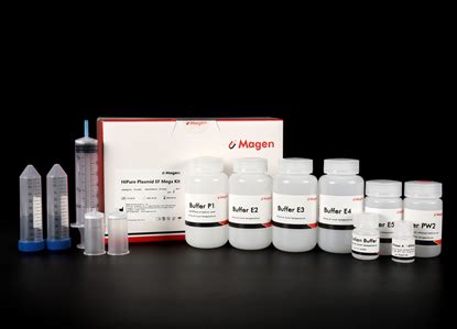 P Magen Endotoxin Free Plasmid Dna Extraction Kit