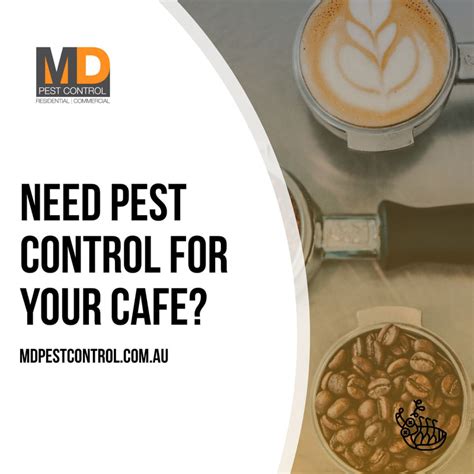 Pest control for cafes - MD Pest Control