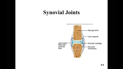 Joints Part 1 YouTube