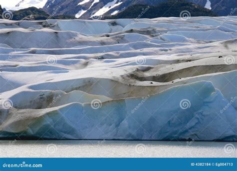 Grey Glacier stock photo. Image of floe, chile, glacier - 4382184