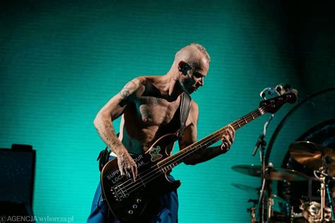 Red Hot Chili Peppers Na Stadionie Narodowym Świetny Rockowy Koncert