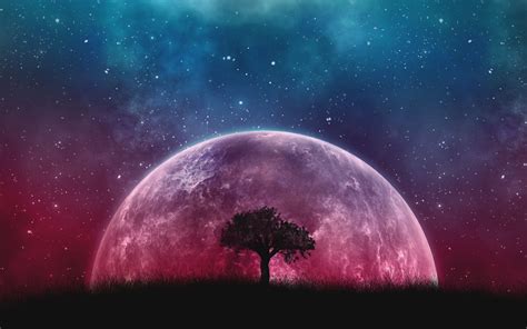 Moon And Tree Wallpapers - Wallpaper Cave