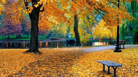 Autumn Park Wallpapers - Wallpaper Cave