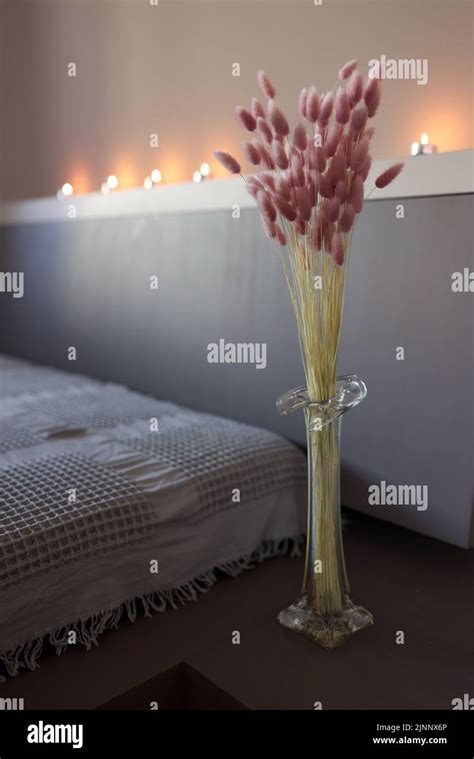 Willow Bouquet With Pink Pussy Willows In Transparent Glass Vase On White Shelf Stock Photo Alamy