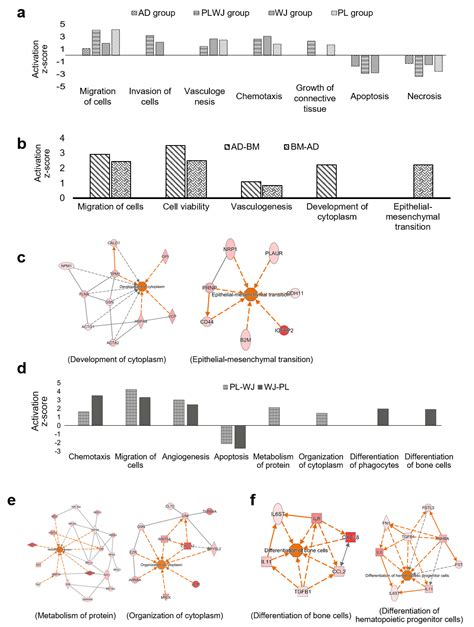 Ijms Free Full Text Comparative Proteomic Analysis Of The Mesenchymal Stem Cells Secretome