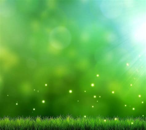 Wallpaper Sunlight Water Nature Grass Sky Field Green Morning