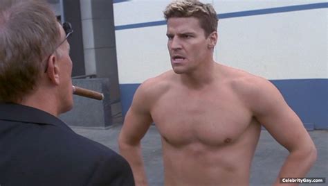 David Boreanaz Naked The Male Fappening