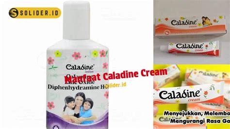 Temukan Manfaat Caladine Cream Yang Perlu Anda Ketahui Solider