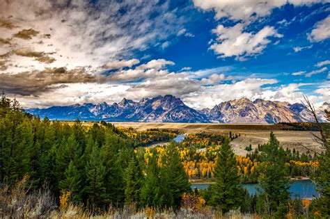 Free Images Landscape Tree Nature Forest Grass Wilderness Cloud