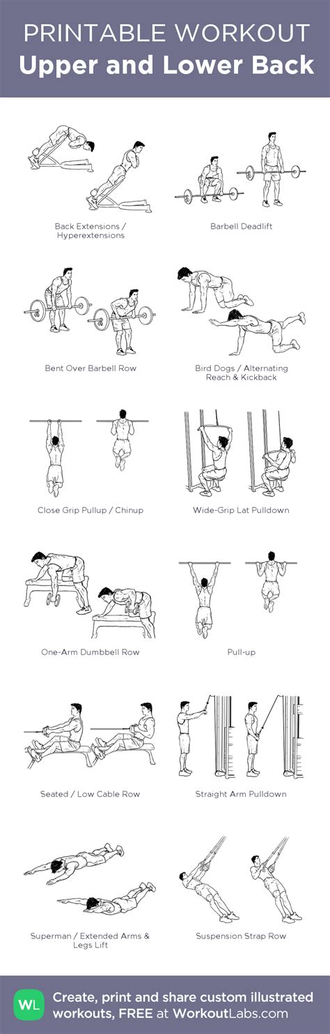 Upper and Lower Back | Lower back, Printable workouts, Chest workouts