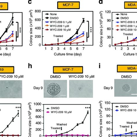 Wyc 209 Inhibits Colony Growth Of Five Different Human Cancer Lines