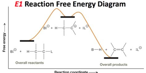 mechanisms (SN/E) Flashcards | Quizlet 