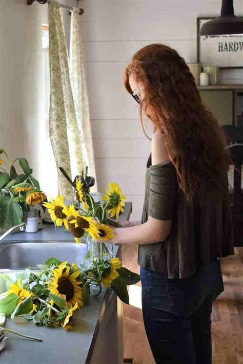 Easy Tips On How To Dry Sunflowers Rocky Hedge Farm