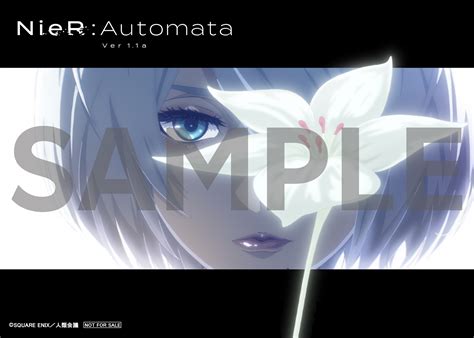 楽天ブックス: 【楽天ブックス限定先着特典+他】NieR:Automata Ver1.1a Blu-ray Disc BOX Vol.2(完全 ...