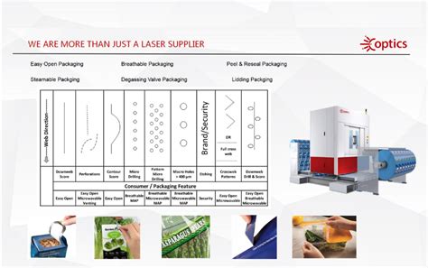 Roll To Roll Laser Scoring Micro Perforation Machine For Flexible