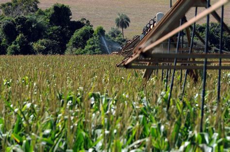 Mapbiomas Rea Para Agricultura Cresce No Brasil Em Anos