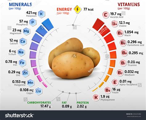 Vitamins And Minerals Of Potato Tuber Infographics About Nutrients In