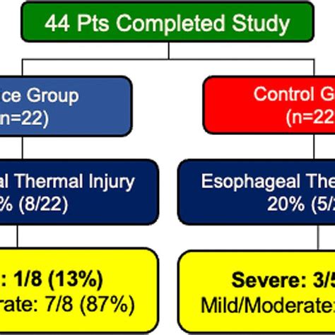 Classification Of Esophageal Thermal Injury On Endoscopy Grade No